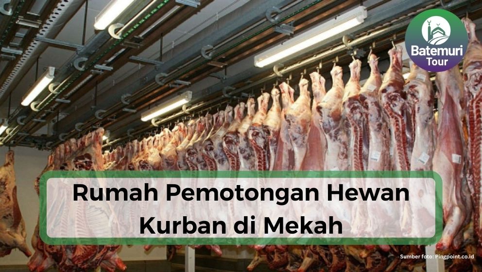 Rumah Pemotongan Hewan Kurban di Mekah